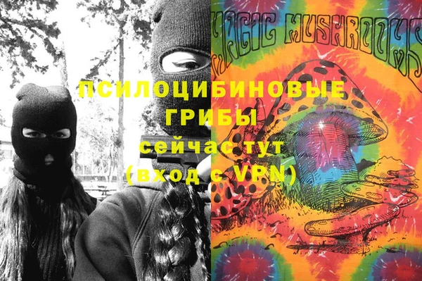 мяу мяу мука Баксан