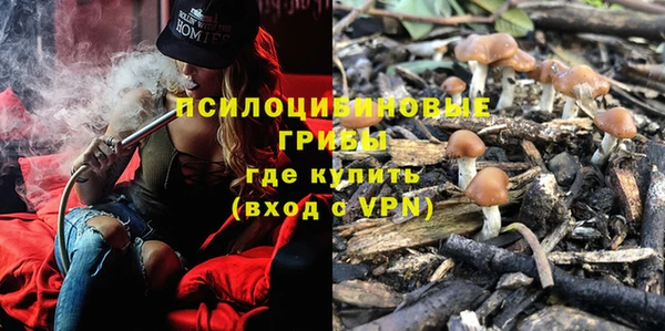 крисы Балахна