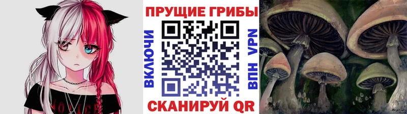 Галлюциногенные грибы Psilocybine cubensis  ОМГ ОМГ сайт  Кондрово 