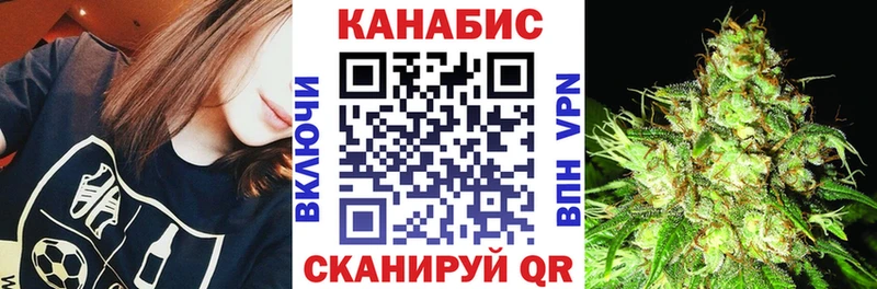 Каннабис план  купить закладку  Кондрово 